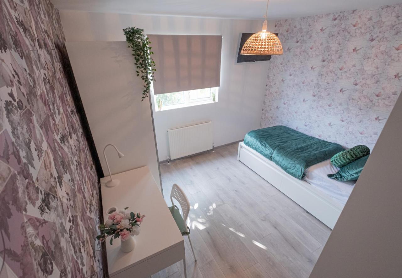 Forest Work & Relax Accommodation Overstone Екстериор снимка